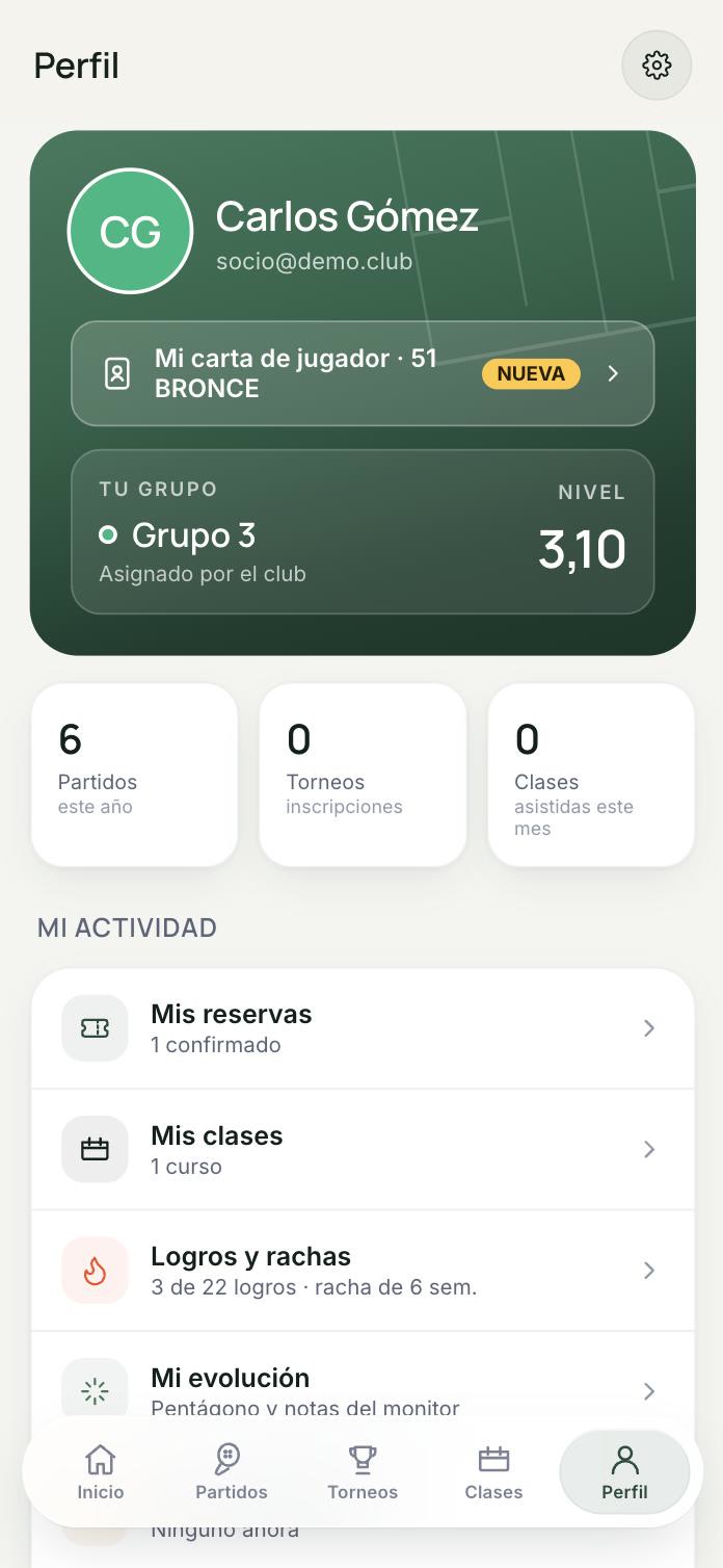 Perfil del jugador